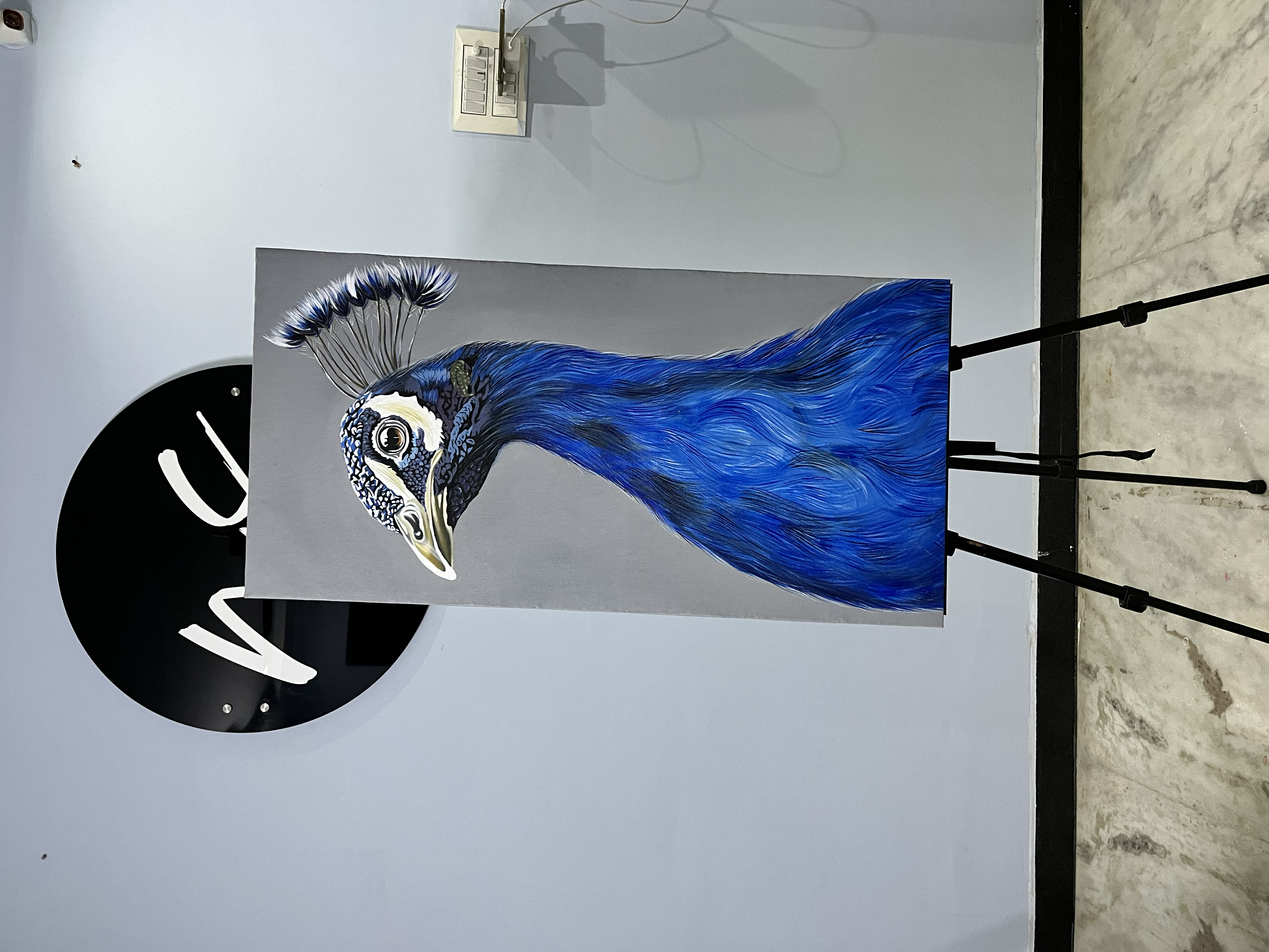 Gallery item 11